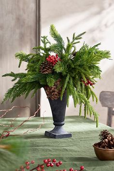 a potted plant sitting on top of a table next to a bowl of pine cones