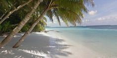 palm trees line the beach in front of blue water and white sand on an island