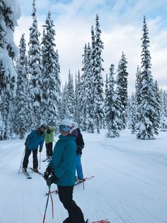 three people on skis in the snow near trees