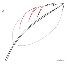 how to draw a feather step by step