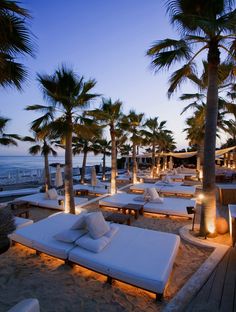 lounge chairs and palm trees on the beach at night with lights shining down from them