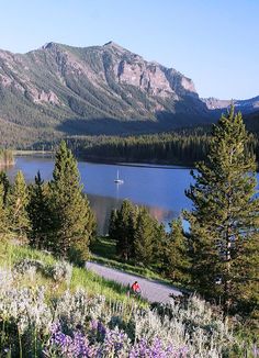 a lake surrounded by mountains and trees with people on the road in front of it