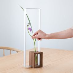 a person holding a flower in a vase on a wooden table with a mirror behind it