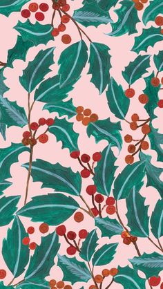 holly leaves and berries on pink background