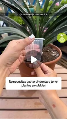 someone is holding a small potted plant in front of their face with the caption