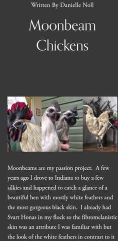 the front cover of a book with three pictures of chickens in different colors and sizes