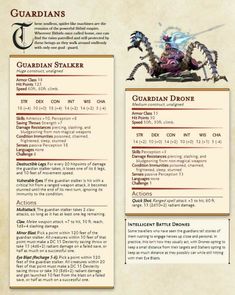 an image of a page describing the character and abilities for a game called guardian's