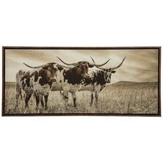 Dimensions: 15.75" H x 36" W x 1.18" D Material: MDF & Canvas Shape: Rectangle Color: Black, White, Brown & Beige Orientation: Horizontal Includes: 2 Sawtooth Hangers Quantity: 1 Infuse a downhome country vibe into your home space with this Three Longhorn Cows Framed Canvas Wall Decor. This piece features a dark wood grain frame with a canvas background. It showcases three speckled longhorn cows standing in a grassy field. The sepia color scheme gives this artwork a vintage feel that will make y Boho Southwestern Living Room, Vintage Western Decor, Dark Wood Grain, Western Wall Decor, Country Vibe, Decor Stand, Sepia Color, Wall Decor Hobby Lobby, Longhorn Cow