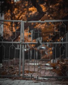 an iron gate in the middle of a road with trees and leaves around it on either side