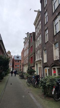 several bicycles parked on the side of a narrow street in front of tall brick buildings