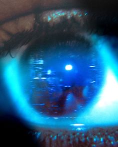 an eye looking into the camera with blue light reflected in it's iris lens