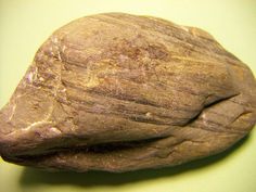 a close up of a rock on a green surface