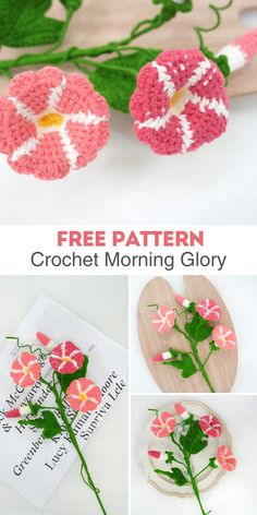 crochet morning glory flower pattern is shown with instructions to make it look like they are