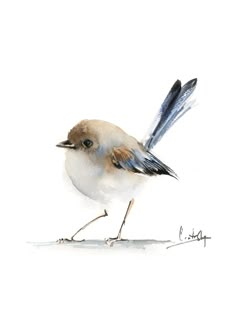 a watercolor painting of a small bird