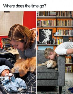 there are two pictures one has a baby and the other has a dog