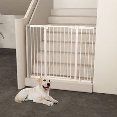 a dog laying on the floor in front of a white gate with stairs behind it