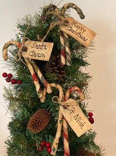 a christmas tree decorated with candy canes and pine cones