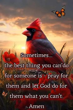 a cardinal bird sitting on top of a red flower next to a butterfly flying over it