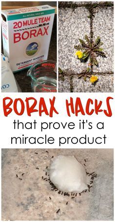 several images with the words borax hacks that prove it's a miracle product