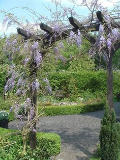 an arbor with purple flowers on it in the middle of a garden area surrounded by trees and bushes