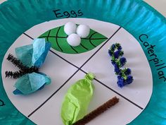 a paper plate that has some sort of plant on it with eggs and caterpillars