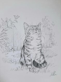 a pencil drawing of a cat sitting in the grass looking up at something behind it