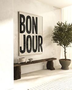 a bonsai tree sits in the corner of a room next to a wooden bench