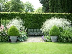 a bench in the middle of a garden surrounded by bushes and flowers on either side of it