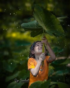 Kerala Landscape Photography, Kerala Nature Images, Kerala Girls Dp Hidden Face, Kerala Woman Images, Kerala Girls Dp, Cute Baby Girl Wallpaper, Umbrella Photography