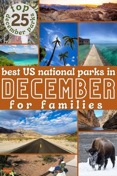 the best us national parks in december for families cover image with images of bison, road, and mountains