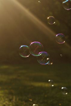 soap bubbles floating in the air on a sunny day