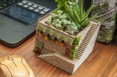 there is a planter with succulents in it next to a laptop