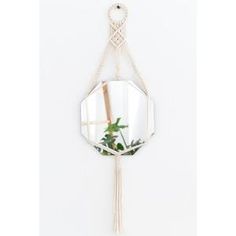 a mirror hanging on a wall with a plant in the corner and a rope around it