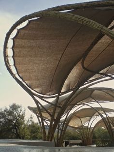 an outdoor area with large umbrellas and benches