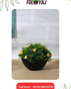 a small potted plant with yellow flowers in it