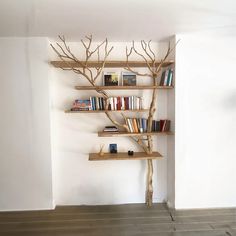 there is a book shelf with many books on it and a tree branch in the middle