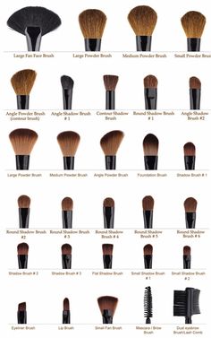 Makeup Brush Uses, Tutorial Eyeliner, Foundation Brushes, Membentuk Alis, Brush Guide, Mekap Mata, Blender Sponge, Makeup Order, Makeup Brushes Guide