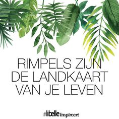 an image of some green leaves with the words rimpels zun de landkaart van je leveren