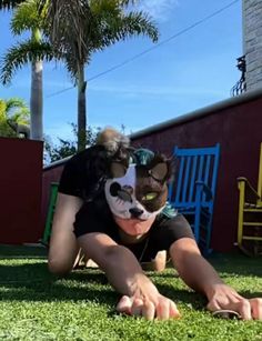 a woman laying in the grass with her face painted like a cat and panda bear