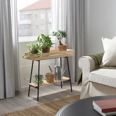 a living room with a couch, coffee table and potted plants on the shelf