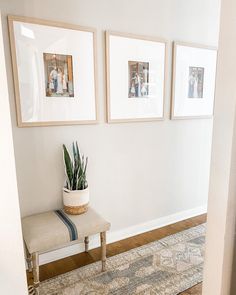 three framed pictures hang on the wall next to a bench with a potted plant