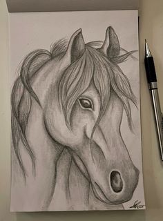 a pencil drawing of a horse with long manes and an eye patch on it's forehead