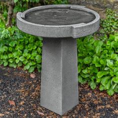 a concrete bird bath sitting on the ground in front of some bushes and shrubbery