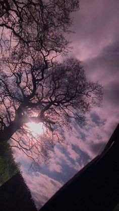 the sun shines brightly through the branches of a large, leafless tree on a cloudy day