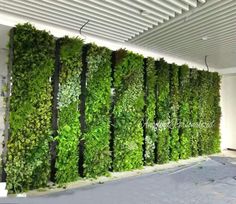 an indoor living wall with green plants growing on it