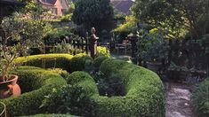 a garden with hedges and potted plants