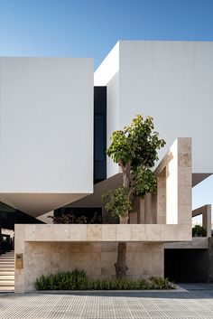 a tree in front of a white building with stairs leading up to the top floor