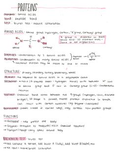 a paper with some writing on it that says proteins and other things to write