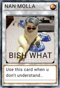 a card with an image of a man in sunglasses and the caption reads, bush what use this card when u don't understand