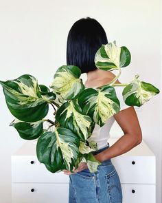 a woman is holding a large plant in her hands and posing for the camera with it's back to the camera